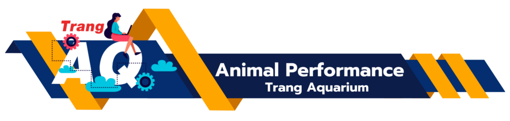 Animal Performance