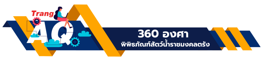 360 องศา