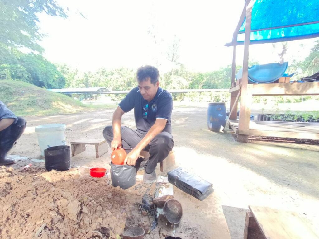 สถาบันทรัพยากรธรรมชาติและสิ่งแวดล้อม จัดกิจกรรม “ตักดินใส่ถุง เตรียมปลูกต้นไม้ ปั้นสวนสวย” ส่งเสริมพื้นที่สีเขียวและสิ่งแวดล้อมที่ยั่งยืน - มทร.ศรีวิชัย (RMUTSV)